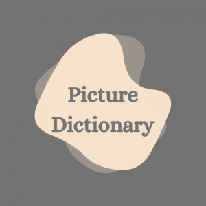 فرهنگ لغت تصویری