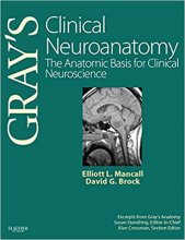 خرید کتاب گریز کلینیکال نوروآناتومی Gray's Clinical Neuroanatomy : The Anatomic Basis for Clinical Neuroscience2011