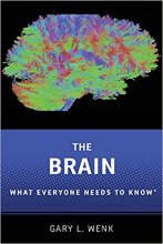خرید کتاب The Brain : What Everyone Needs To Know (R)