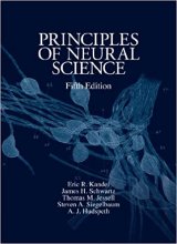 خرید کتاب پرینسیپلز آف نورال ساینس Principles of Neural Science