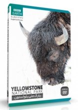 خرید مستند پارک ملی یلو استون YELLOWSTONE