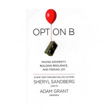 خرید کتاب راه حل جایگزین Option B