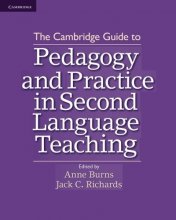 خرید pedagogy and practice in second language teaching