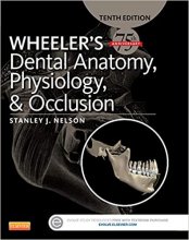 خرید آناتومی دندان ویلر | Wheeler’s Dental Anatomy, Physiology and Occlusion 10e