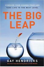 خرید The Big Leap