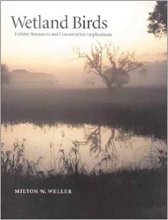 خرید Wetland Birds